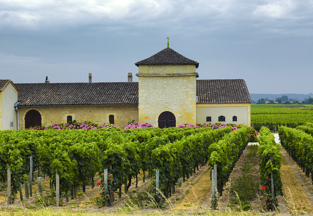 Vineyards